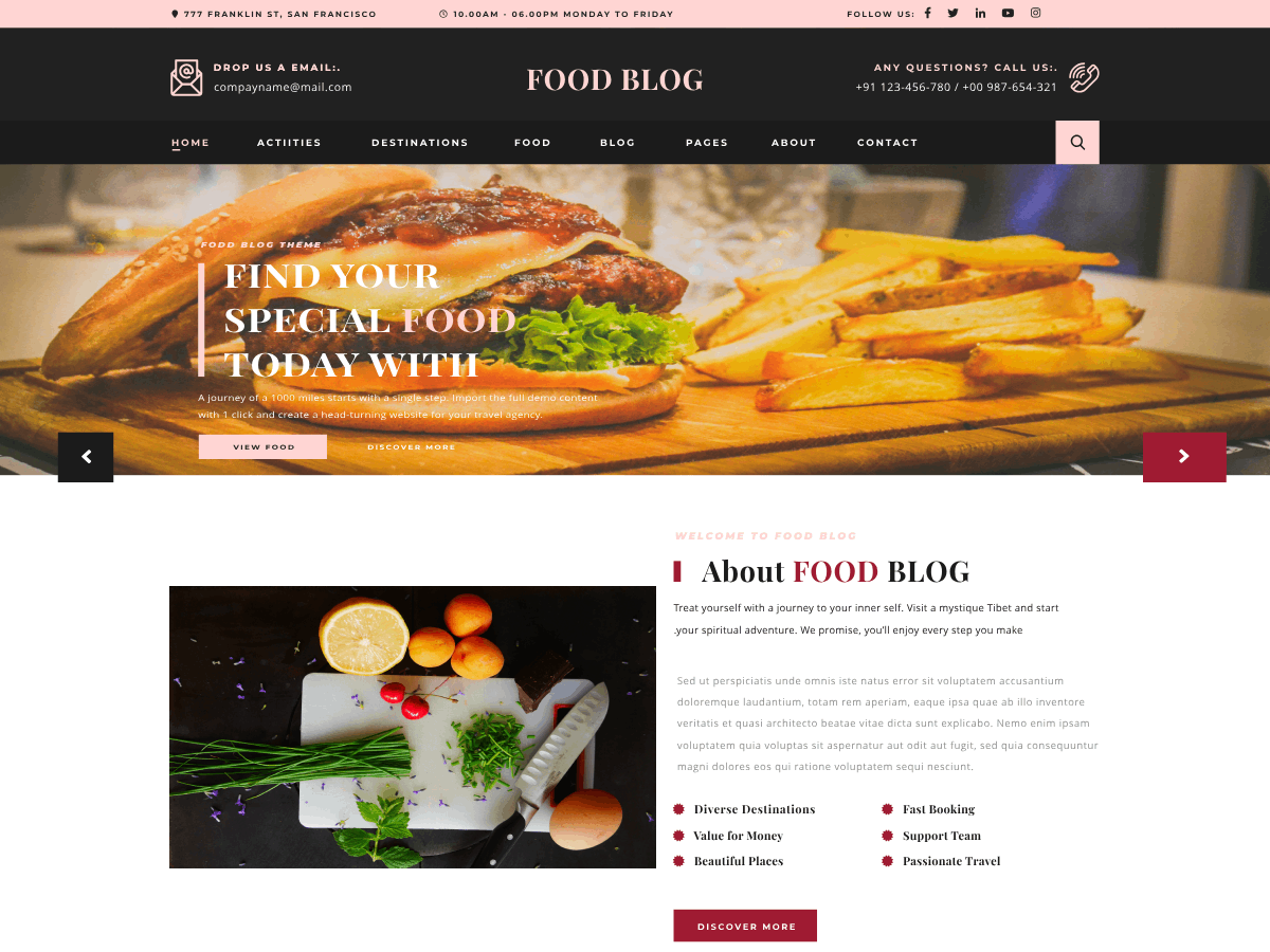 Expert Food Blog theme screenshot