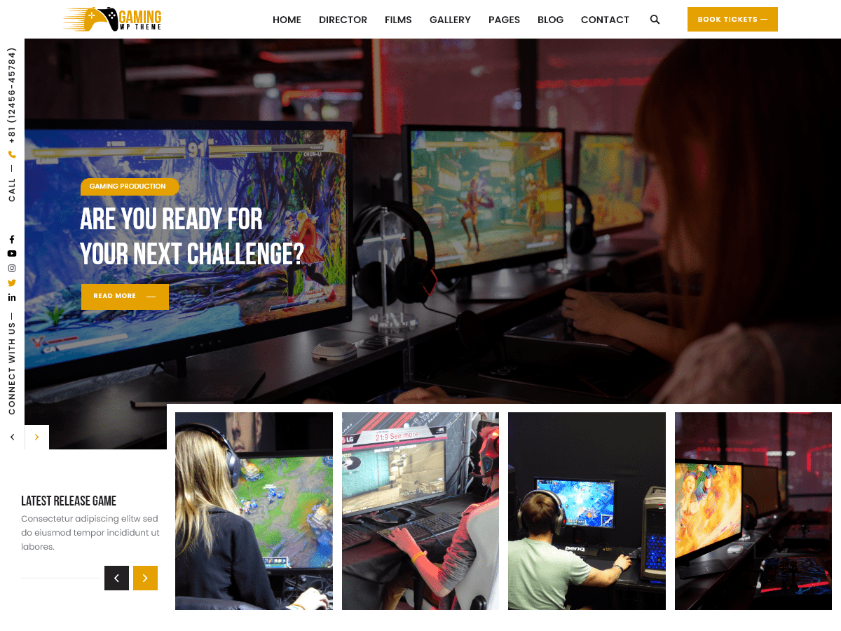 Expert Gamer theme screenshot