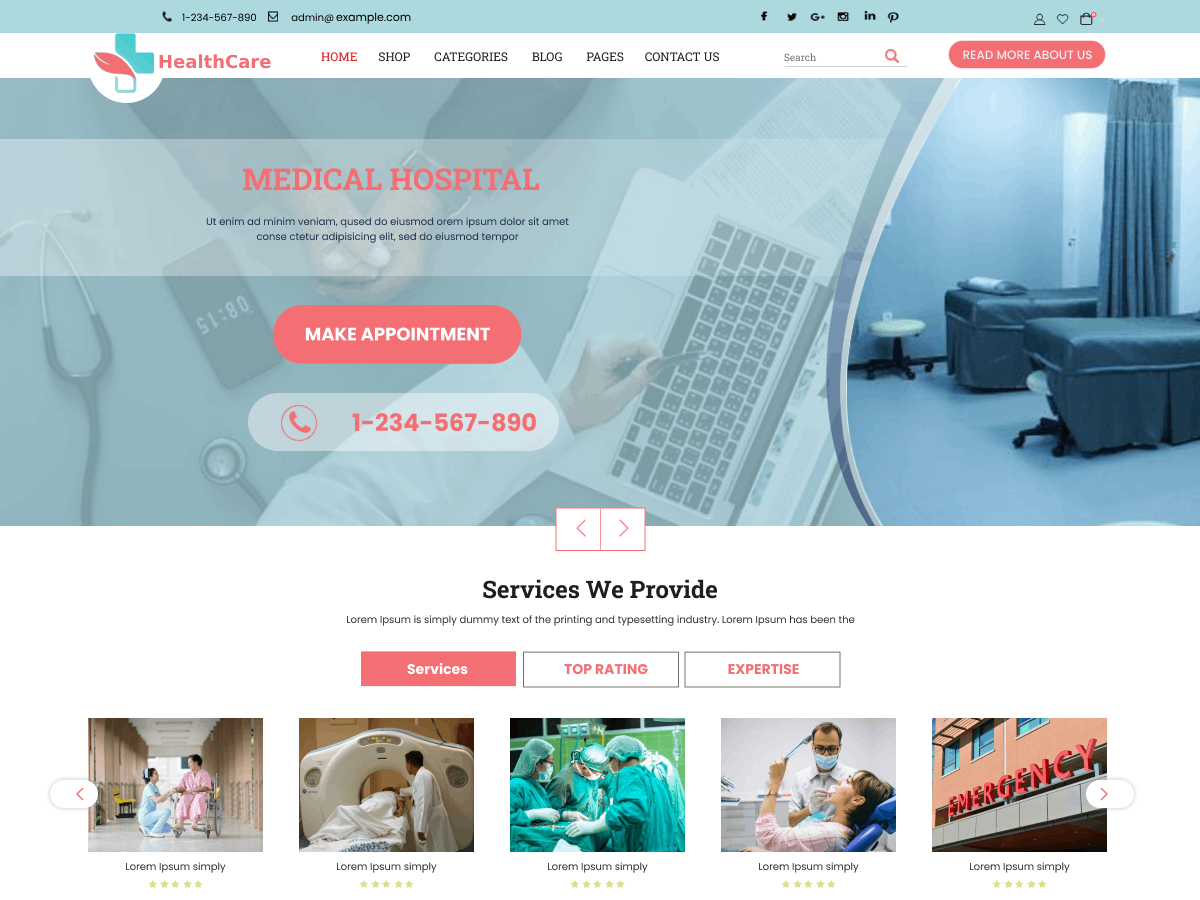 Expert Healthcare theme screenshot