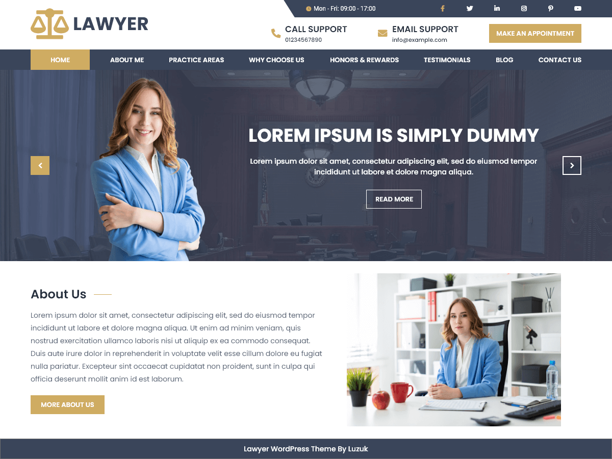 Expert Lawyer theme screenshot