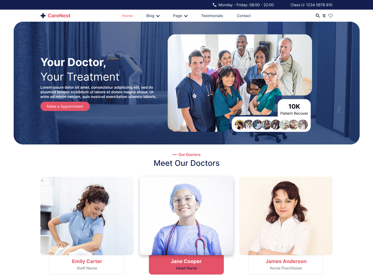 Expert Nurses theme screenshot