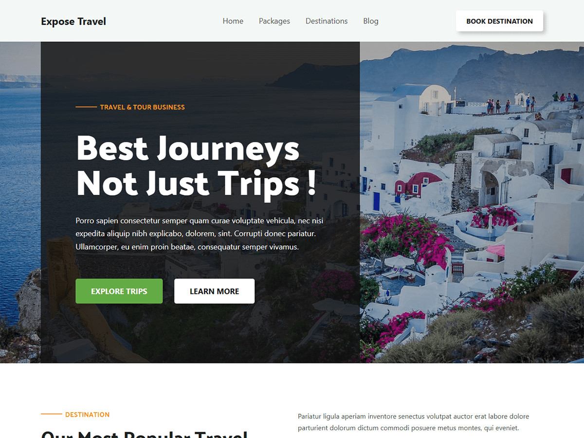Expose Travel theme screenshot