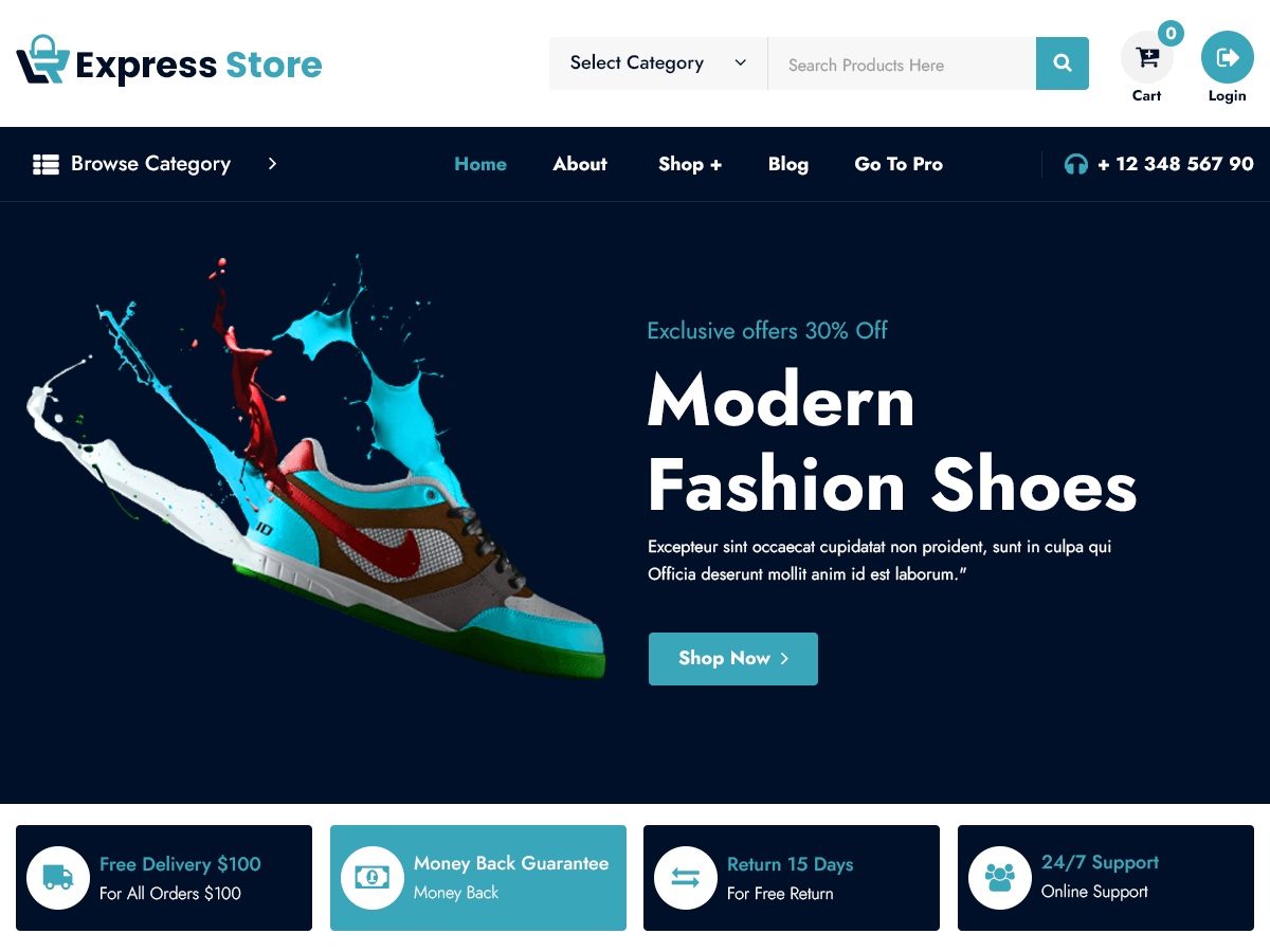 Express Store theme screenshot