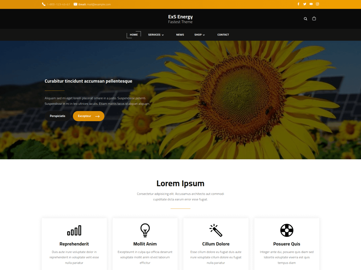 ExS Energy theme screenshot