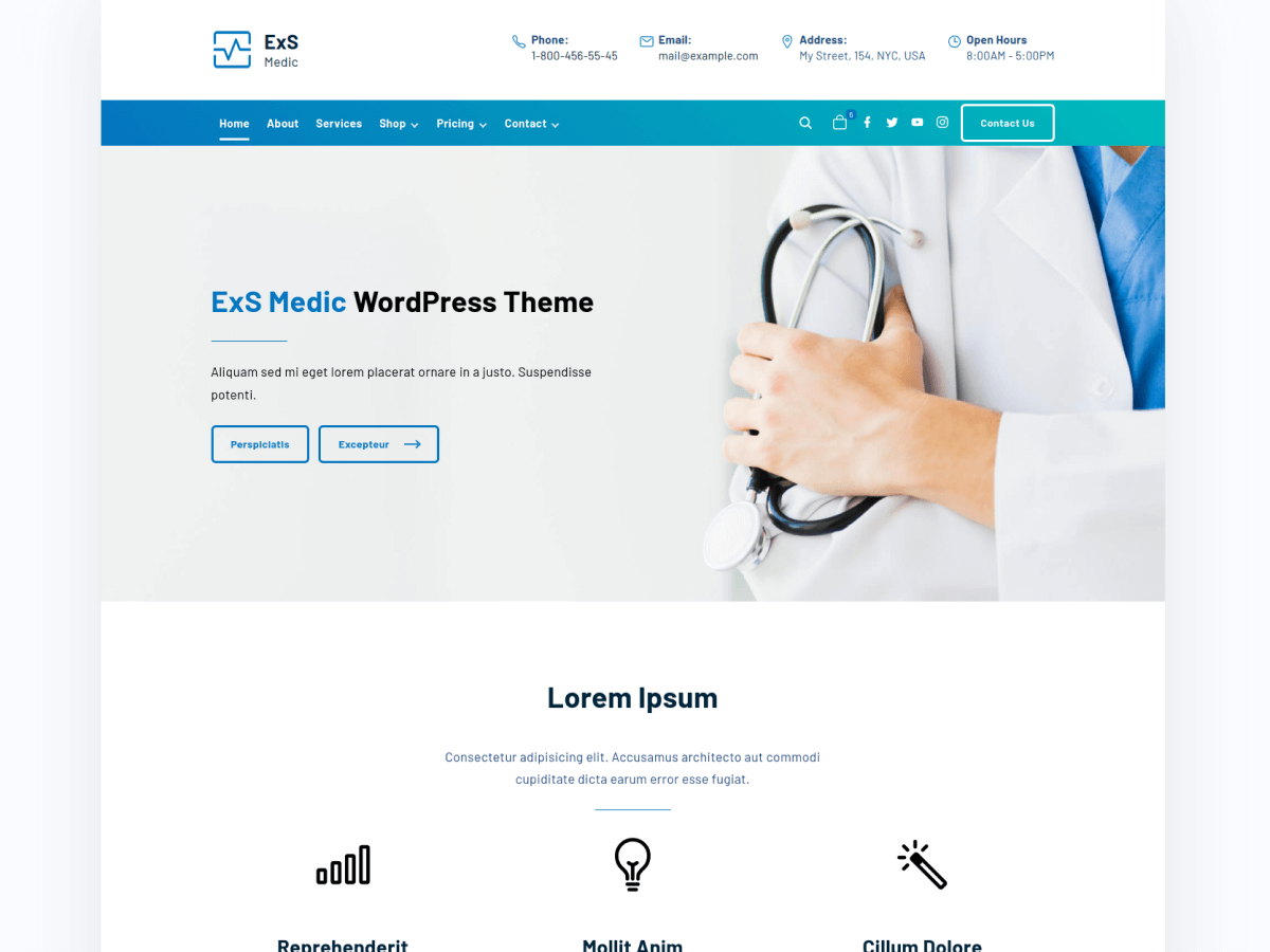 ExS Medic theme screenshot