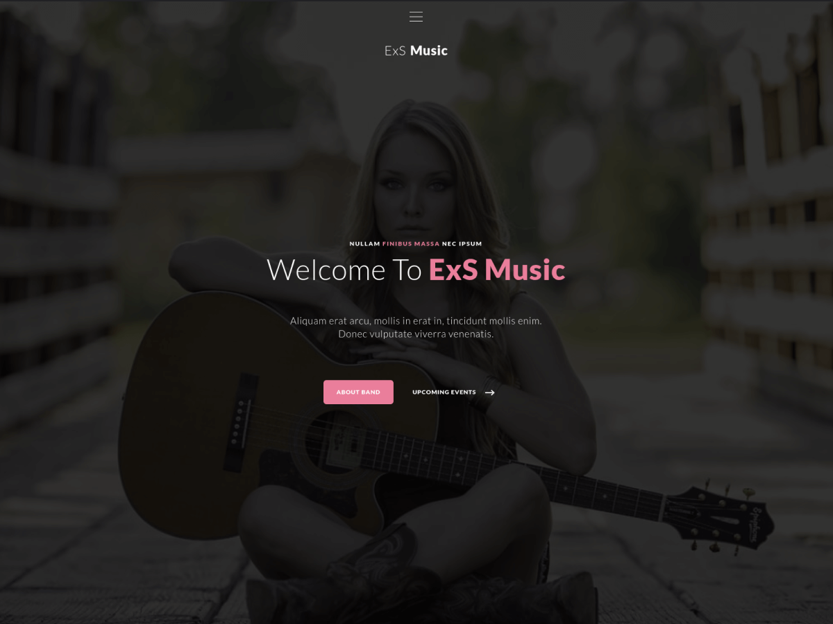 ExS Music theme screenshot