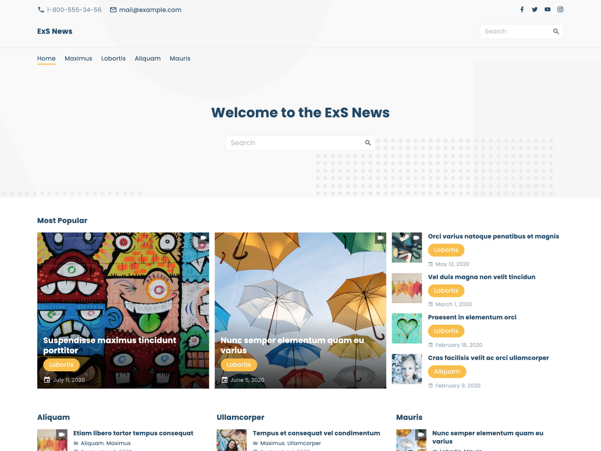 ExS News theme screenshot