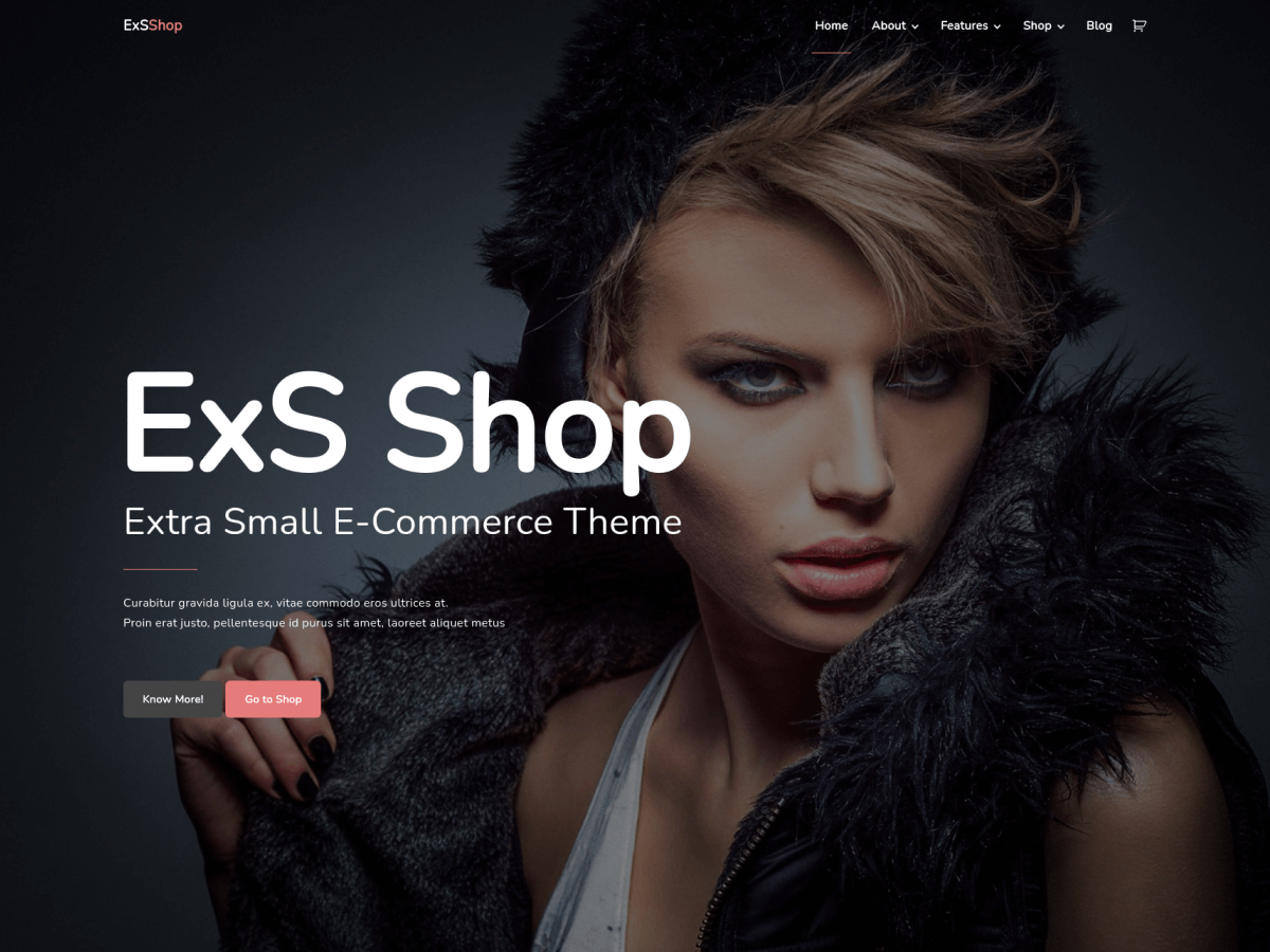 ExS Shop theme screenshot