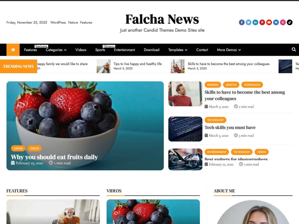 Falcha News theme screenshot