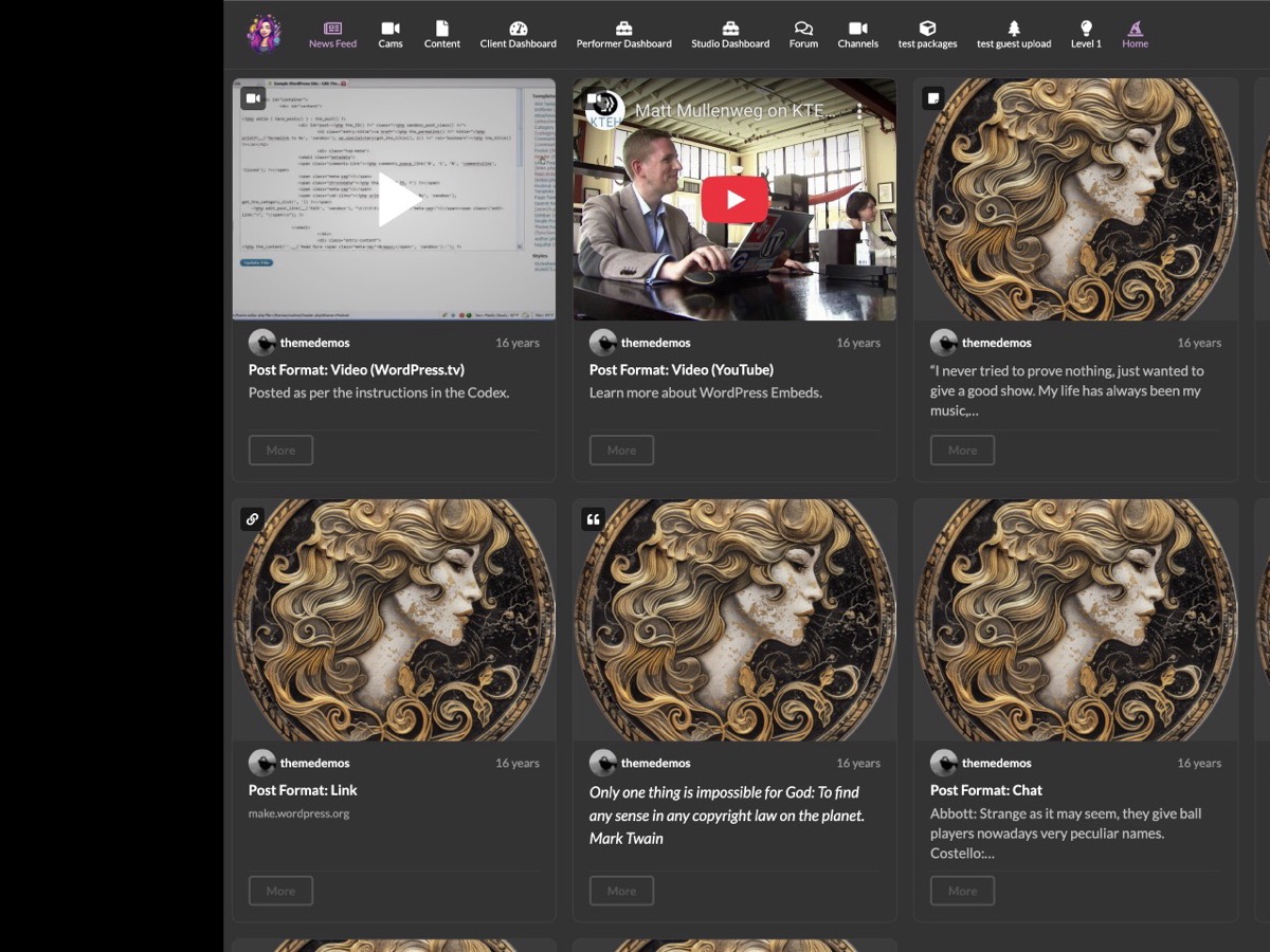 FansPaysite theme screenshot