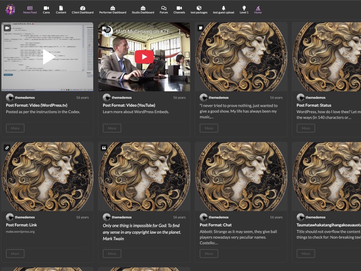 FansPaysite theme screenshot