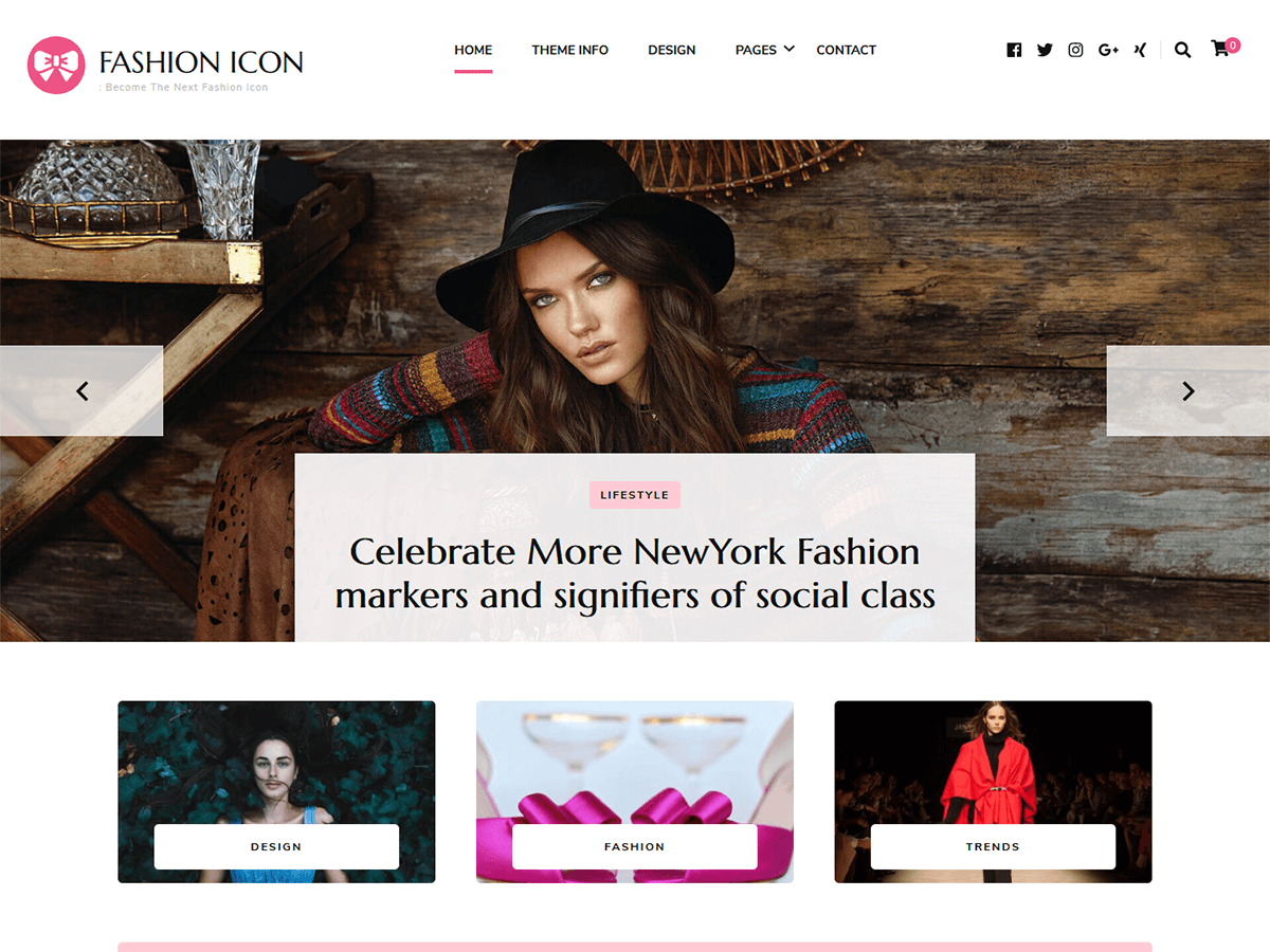 Fashion Icon theme screenshot