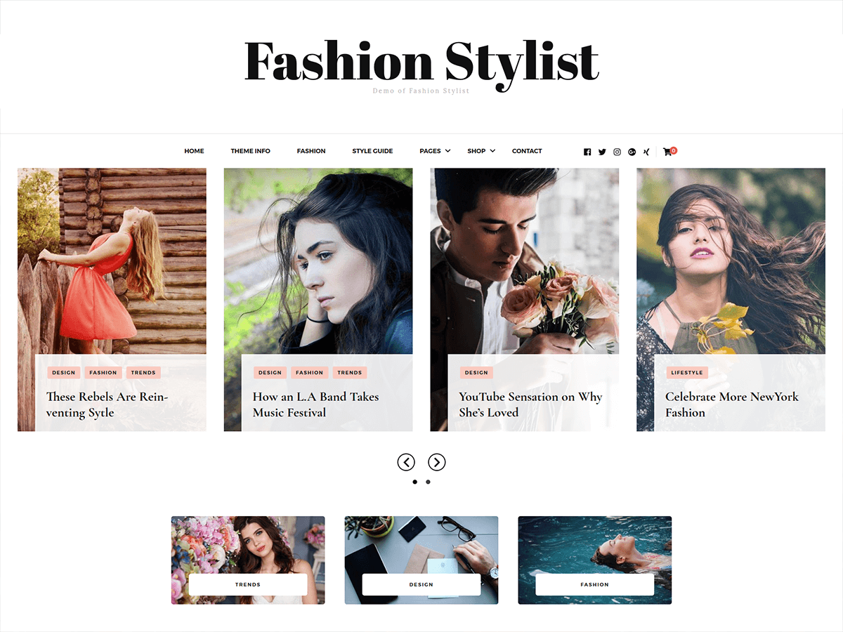 Fashion Stylist theme screenshot