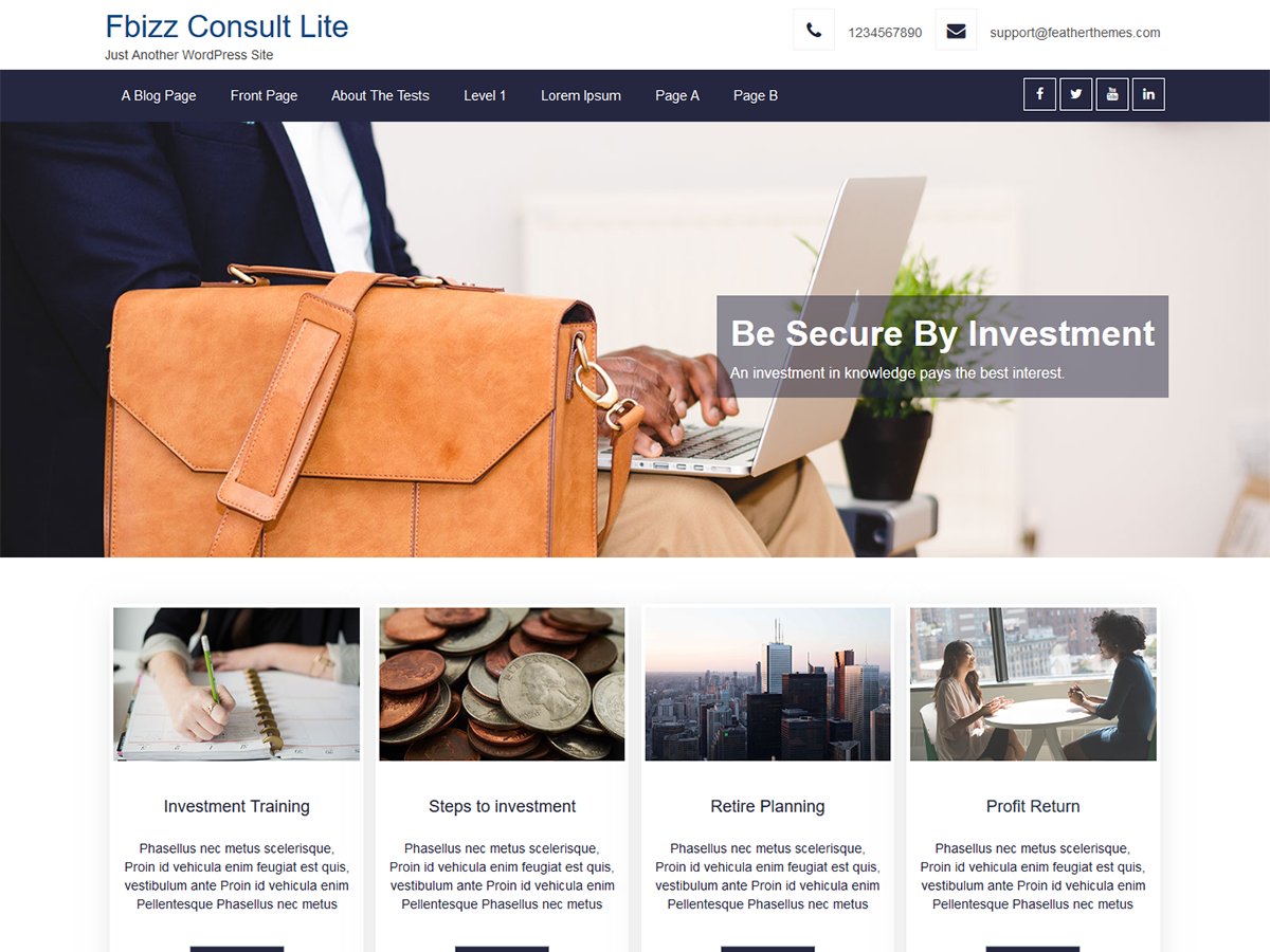 FBizz Consult Lite theme screenshot