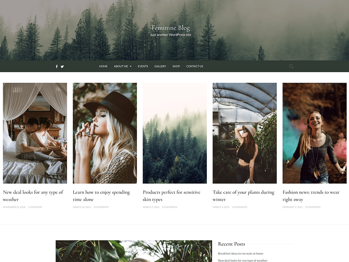 Feminine Blog theme screenshot