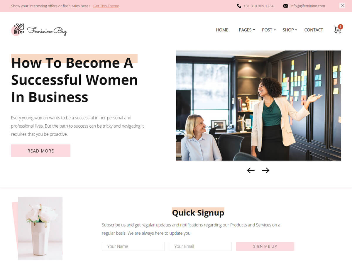 Feminine Business theme screenshot