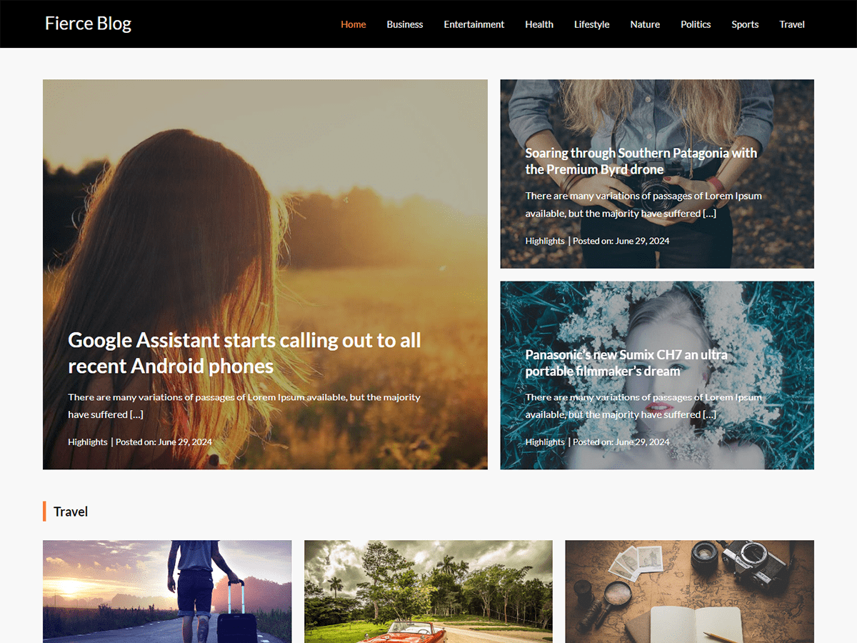 Fierce Blog theme screenshot