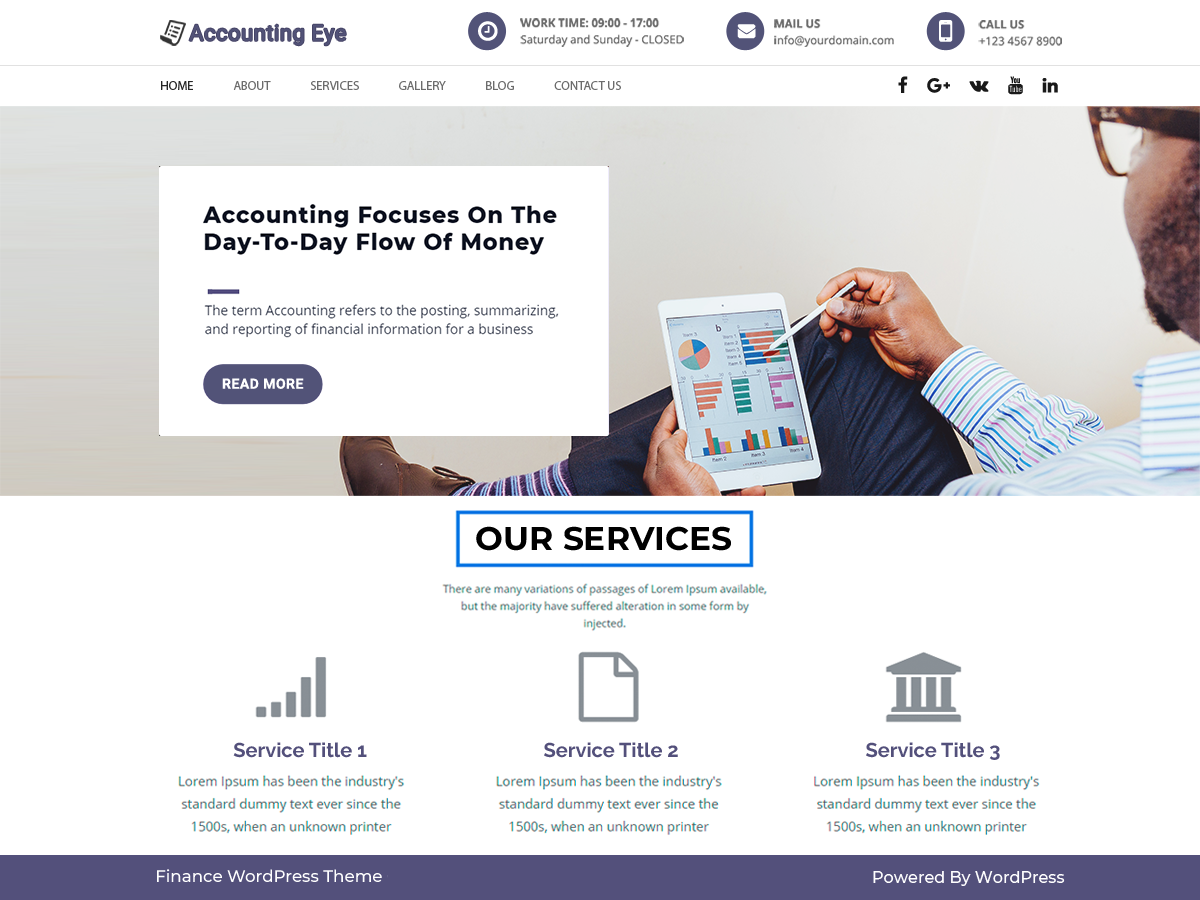 Finance Accounting theme screenshot