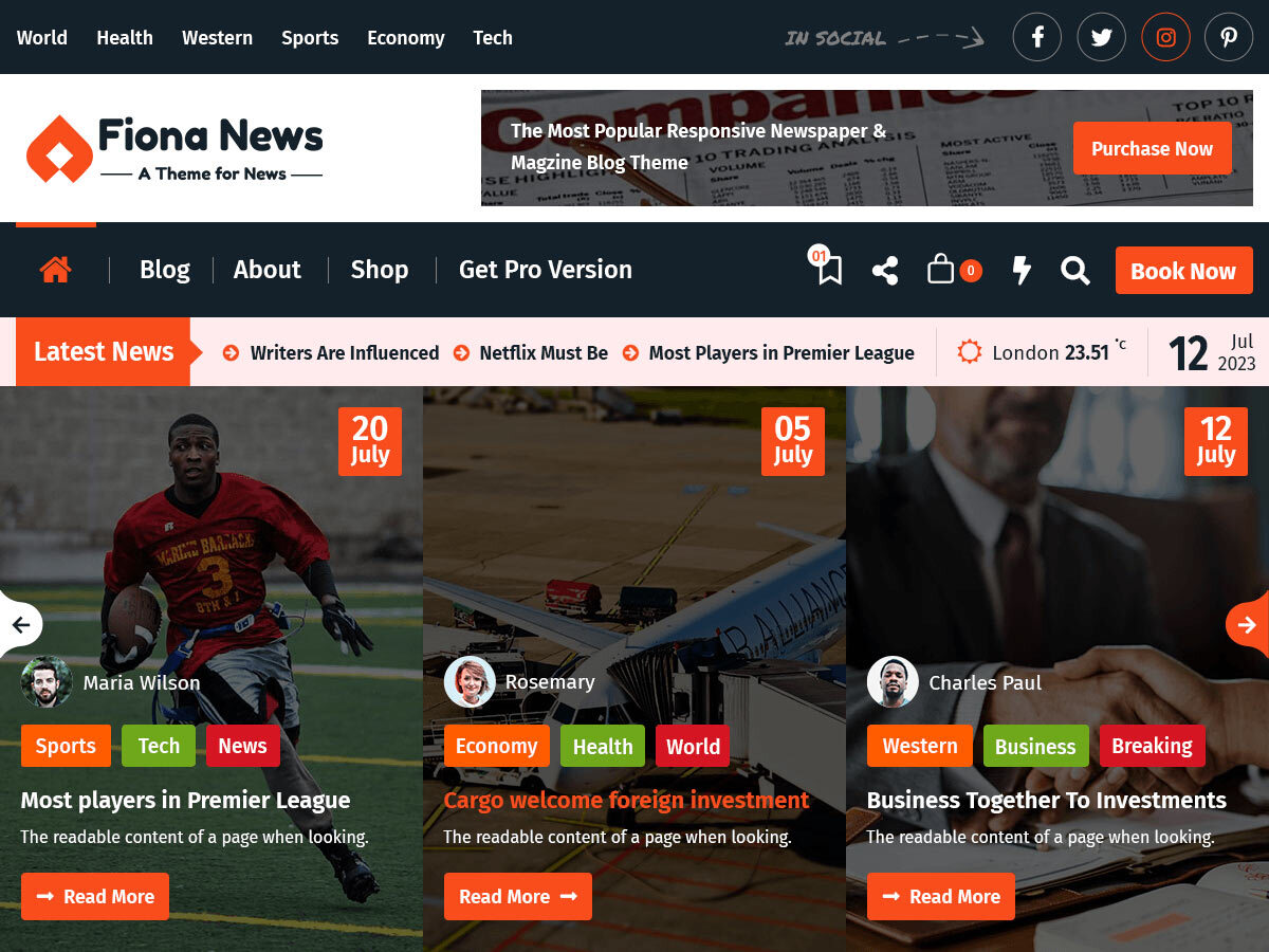 Fiona News theme screenshot