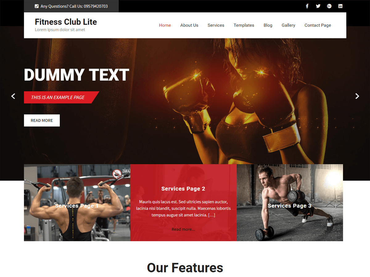 Fitness Club Lite theme screenshot