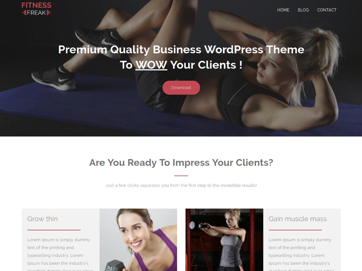 Fitness Freak theme screenshot