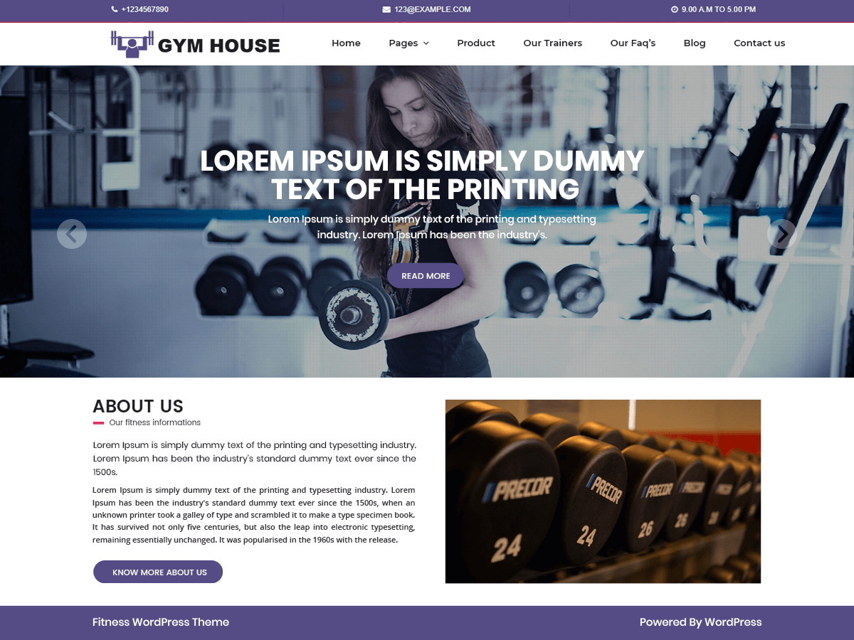 Fitness Gymhouse theme screenshot