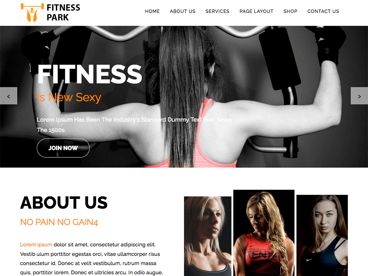 Fitness Park theme screenshot