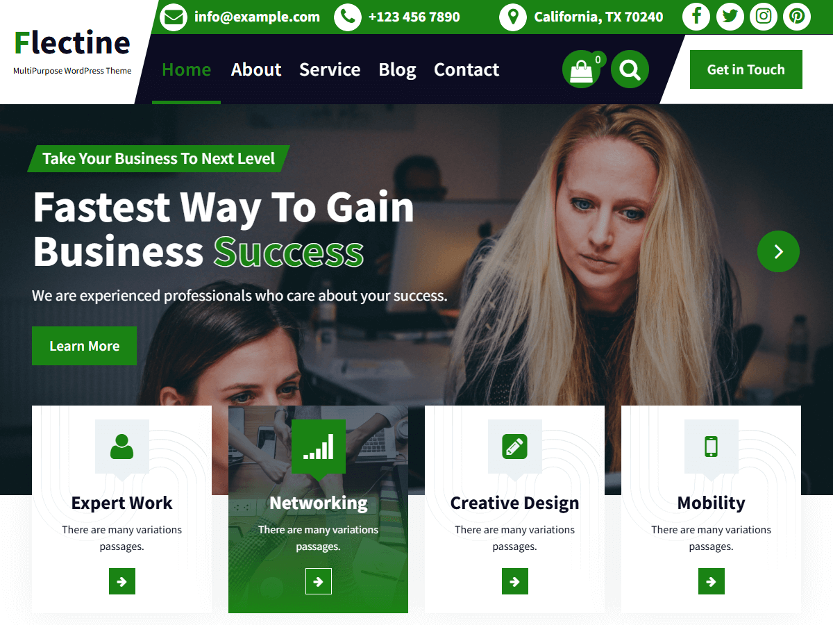 Flectine theme screenshot