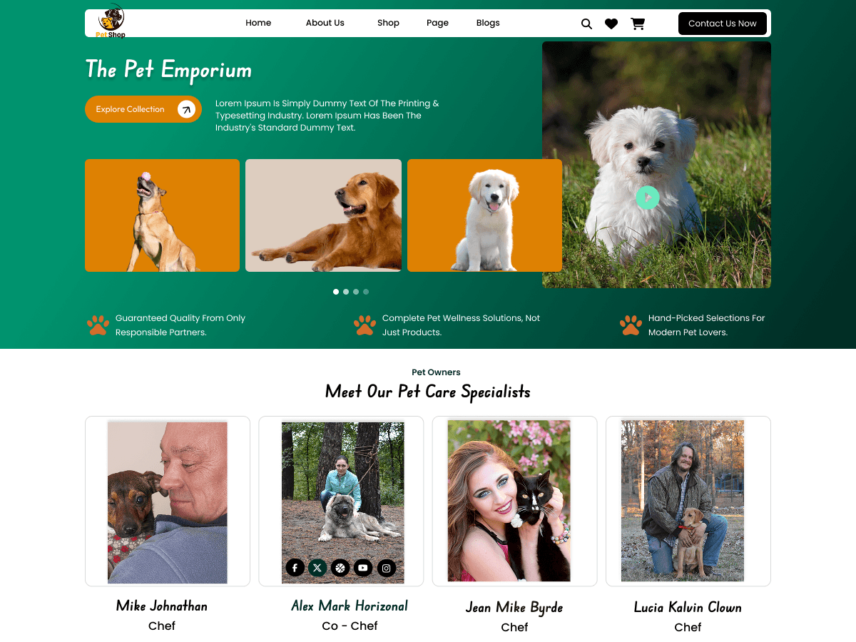 Flex Pet Care theme screenshot