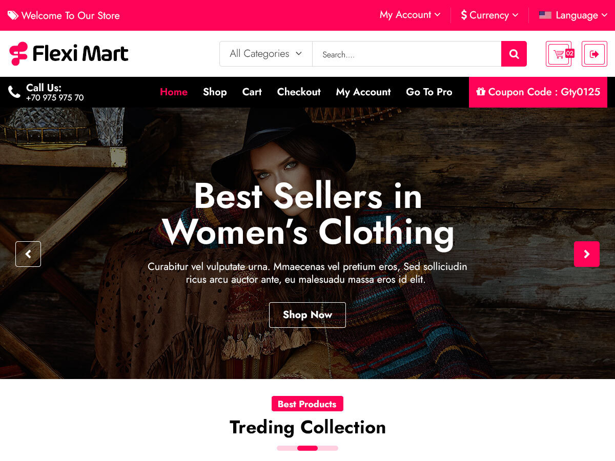 Flexi Mart theme screenshot