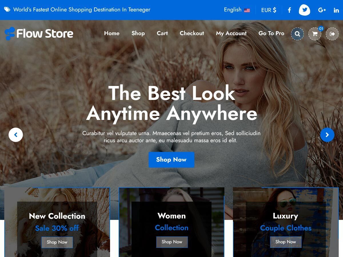 Flow Store theme screenshot