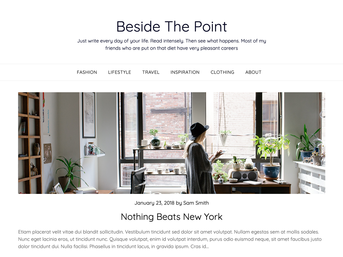 Fluid Basics theme screenshot