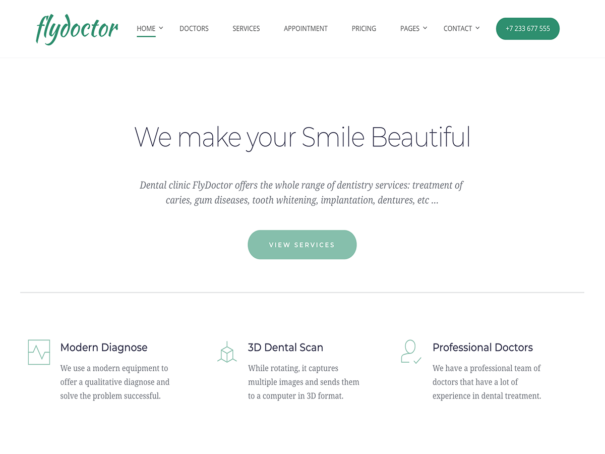 FlyDoctor theme screenshot