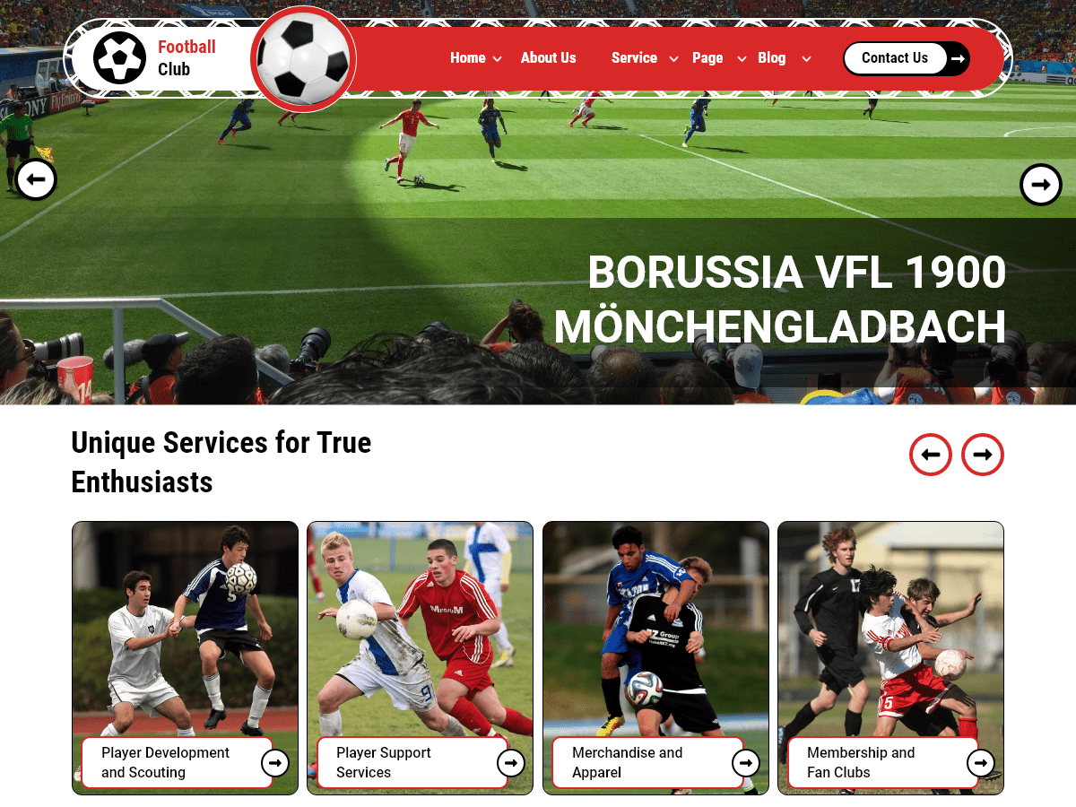 Football Academy theme screenshot