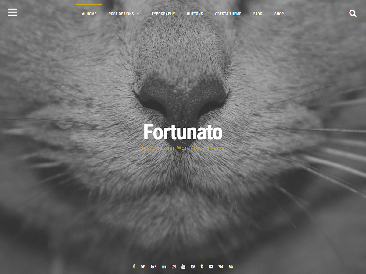 Fortunato theme screenshot