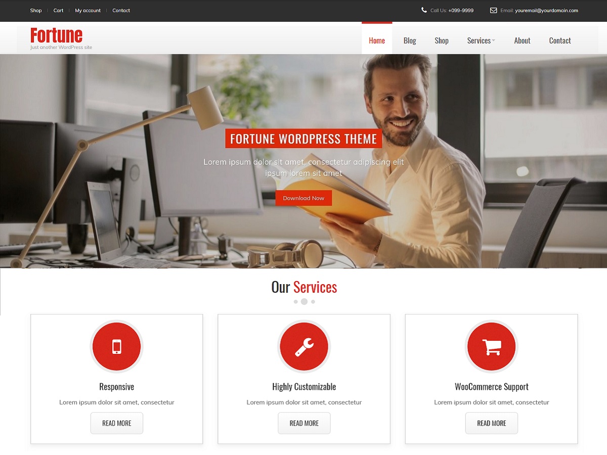 Fortune theme screenshot