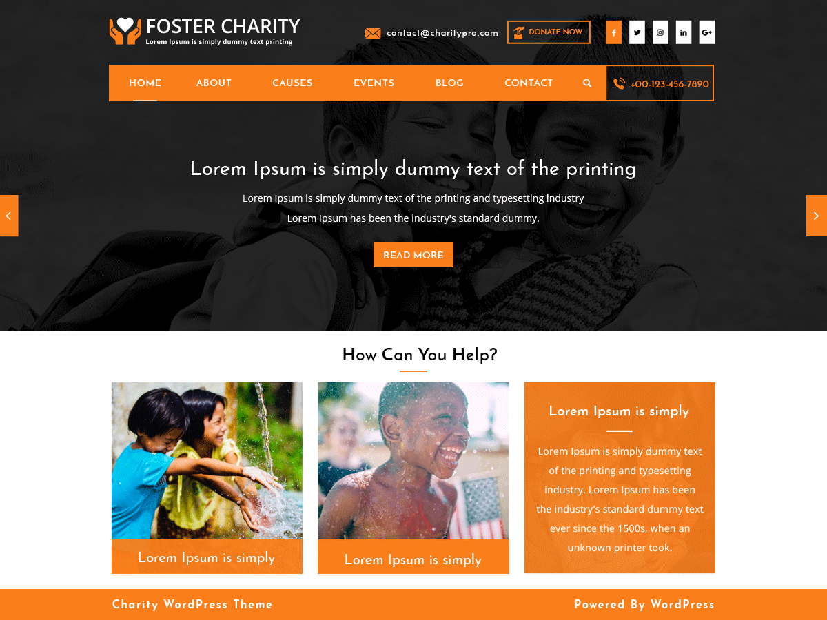 Foster Charity theme screenshot