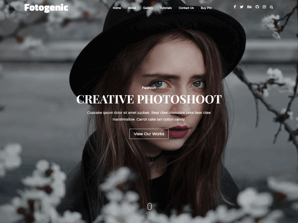 Fotogenic theme screenshot
