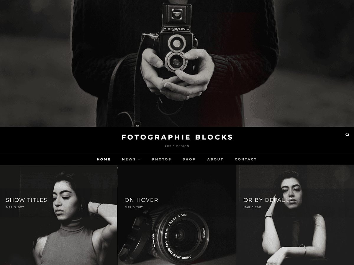 Fotografie Blocks theme screenshot