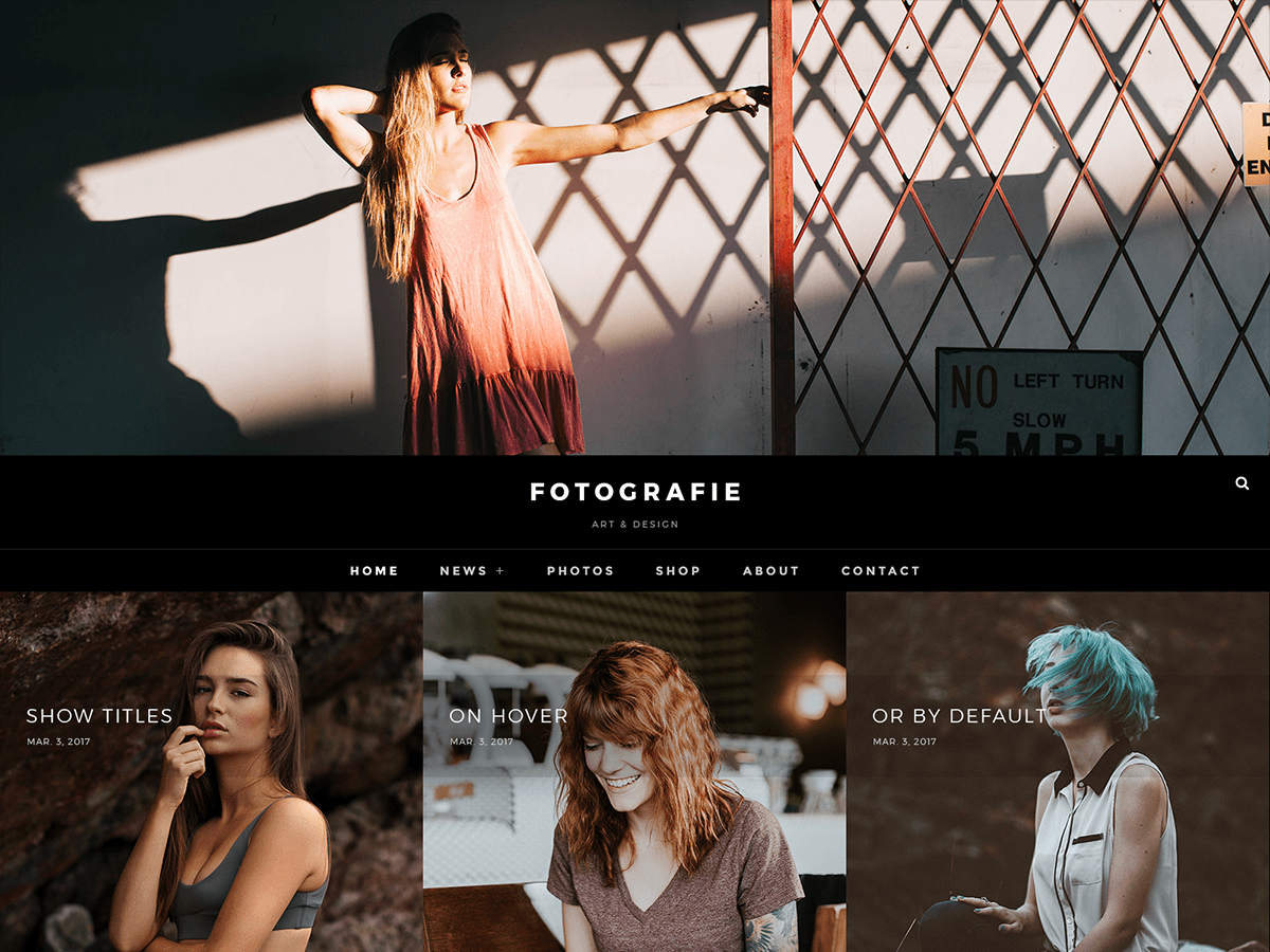 Fotografie theme screenshot