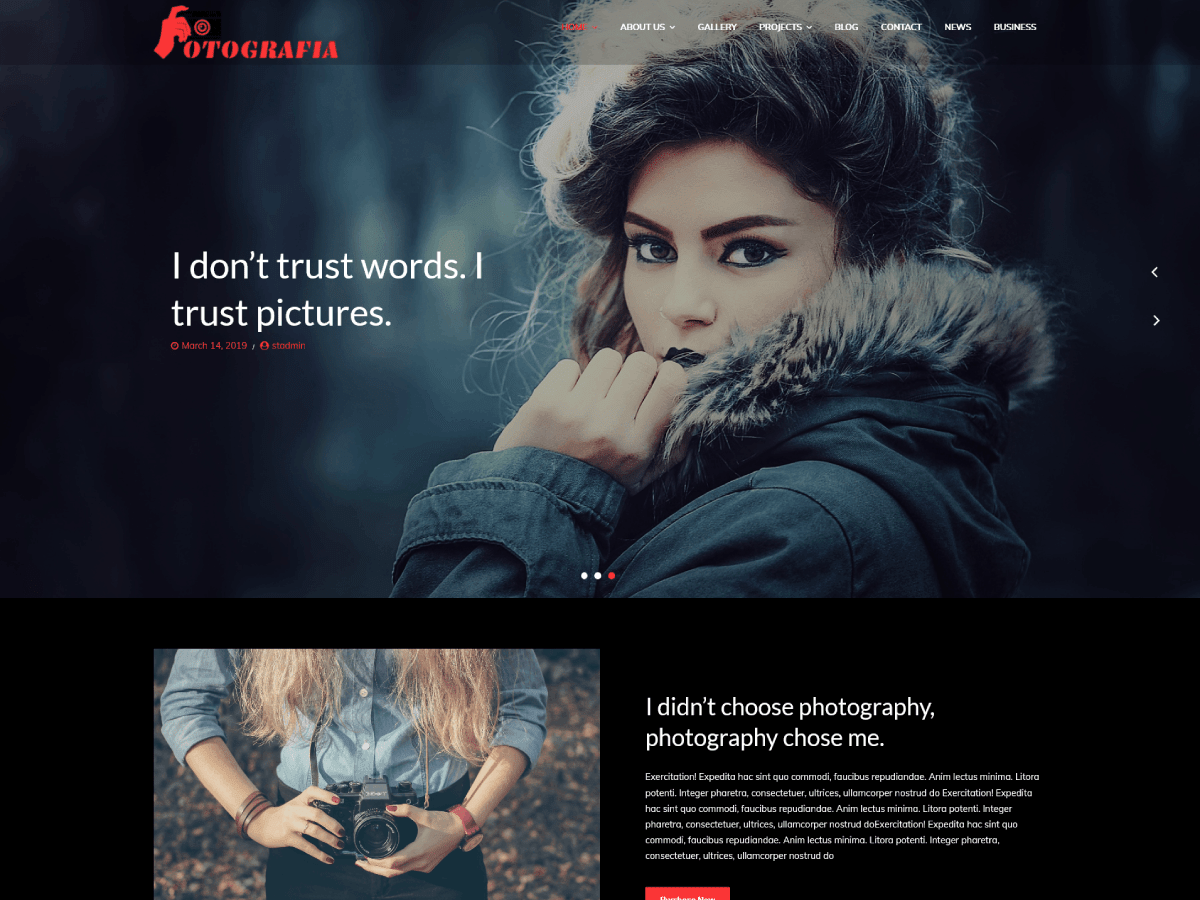 Fotoografia theme screenshot