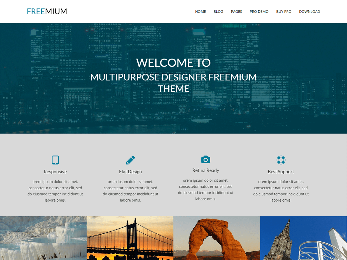 Freemium theme screenshot