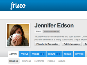 Frisco for BuddyPress theme screenshot