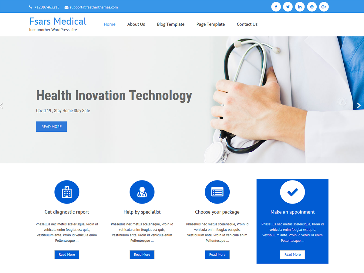 FSars Medical theme screenshot