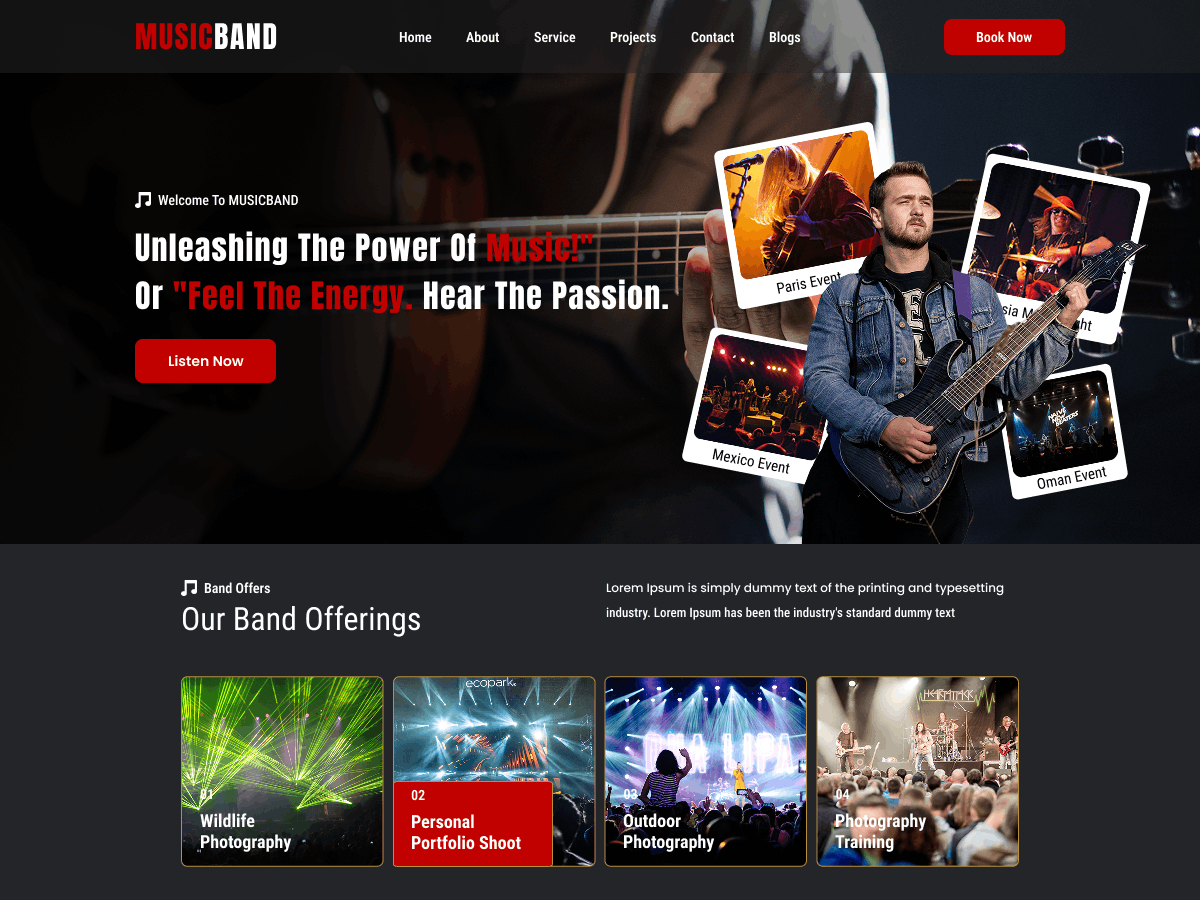 FSE Band Artist theme screenshot