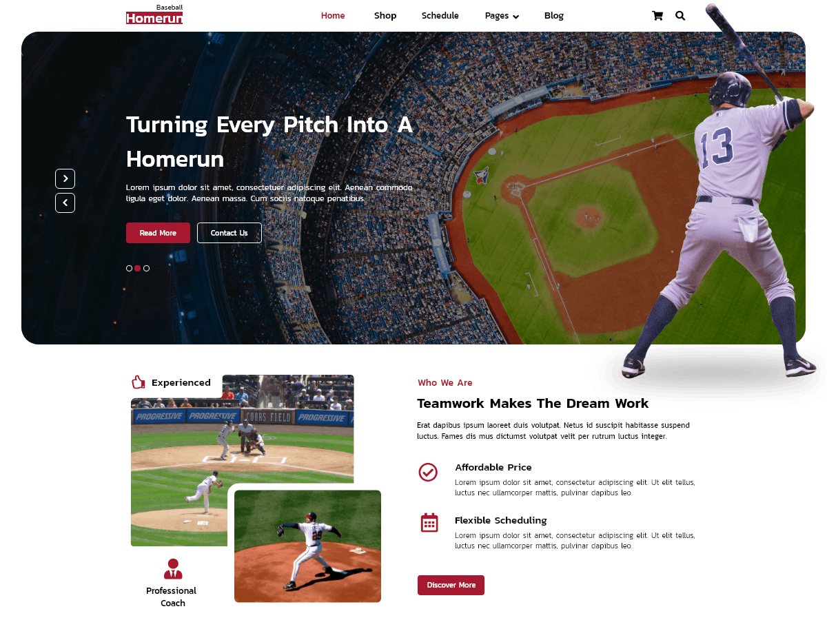 FSE Baseball theme screenshot