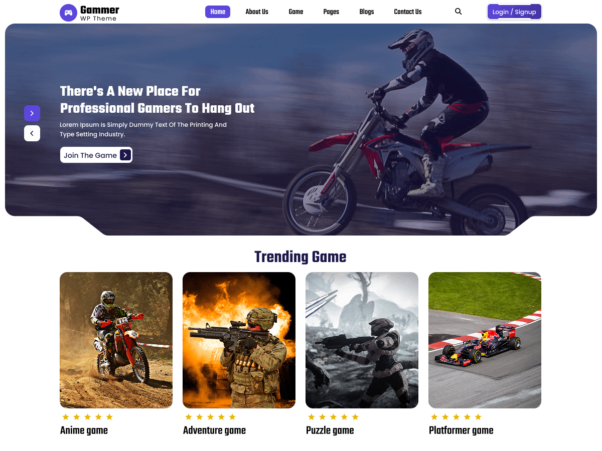 FSE Gamer theme screenshot