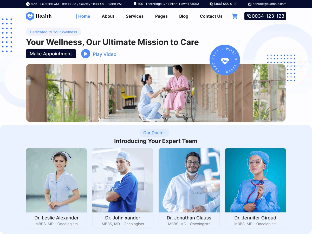 FSE Medical Clinic theme screenshot