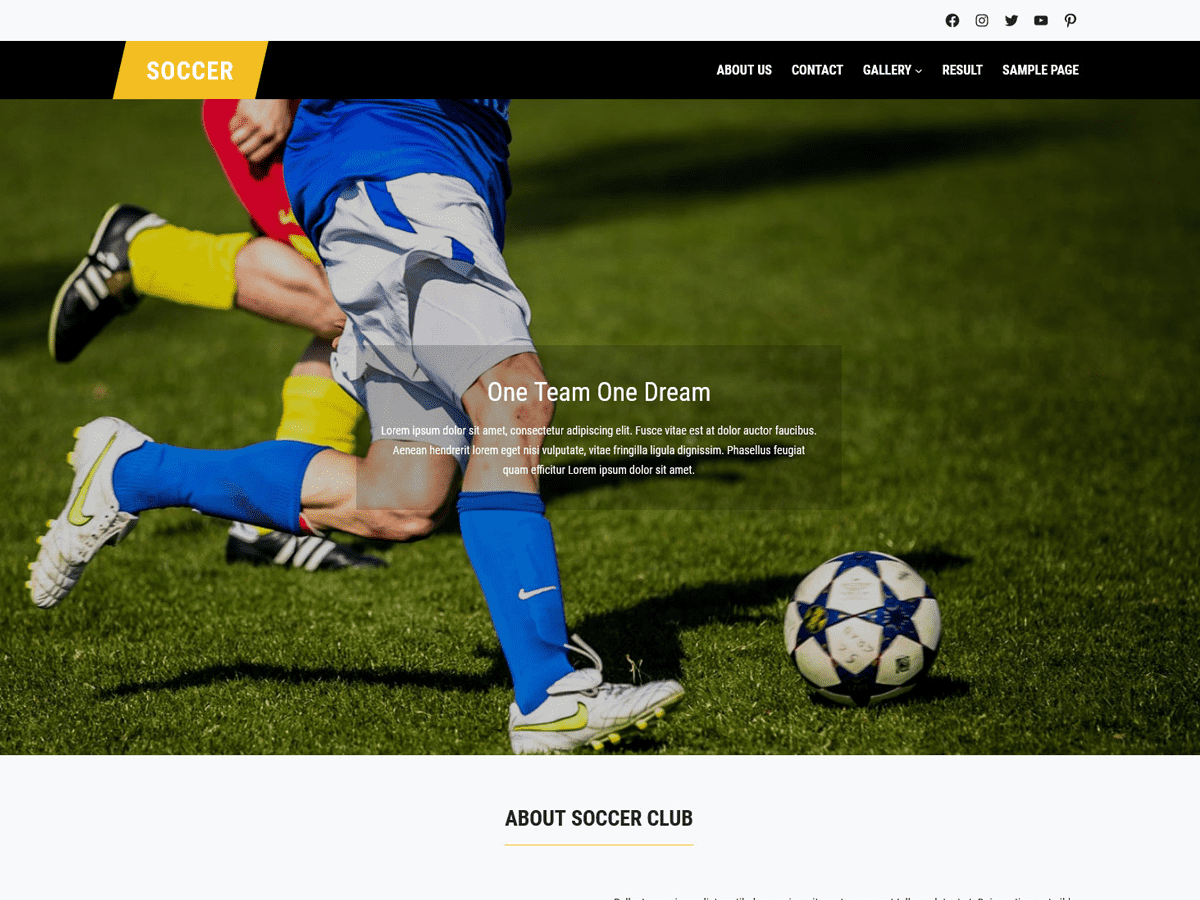 FSE Soccer theme screenshot