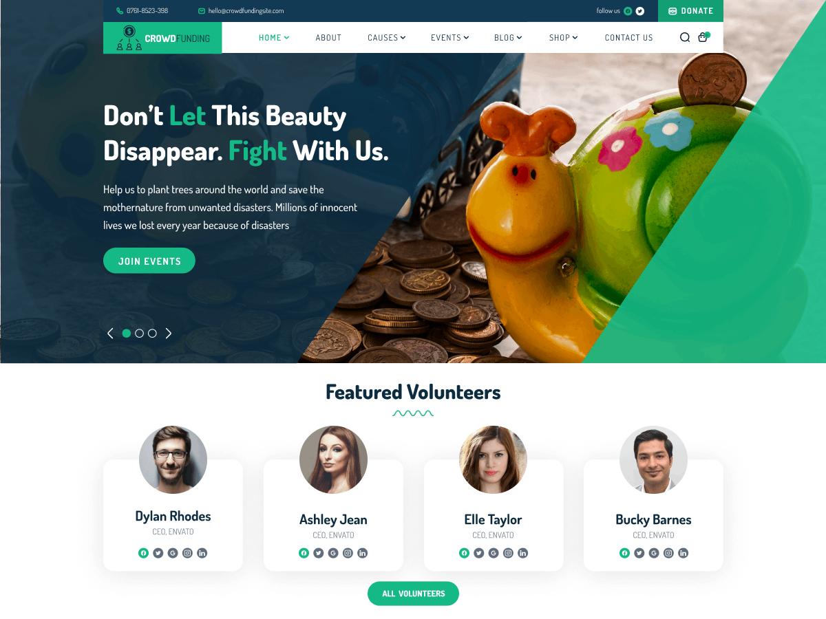 FSE Social NGO theme screenshot